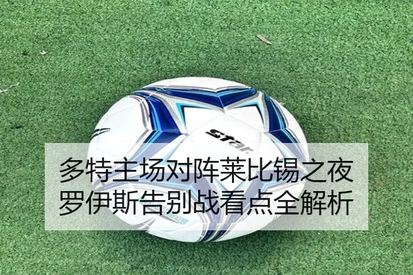 多特主场对阵莱比锡之夜 罗伊斯告别战看点全解析